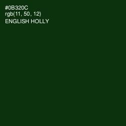#0B320C - English Holly Color Image
